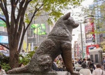 Japonia sărbătorește 100 de ani de la nașterea lui Hachiko