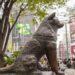 Japonia sărbătorește 100 de ani de la nașterea lui Hachiko