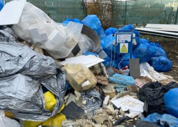 Amenzi de peste 300.000 lei pentru cei care nu au respectat curățenia în Timișoara