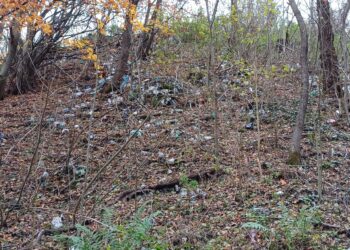 VIDEO O zonă turistică din Caraș-Severin, împânzită de deșeuri