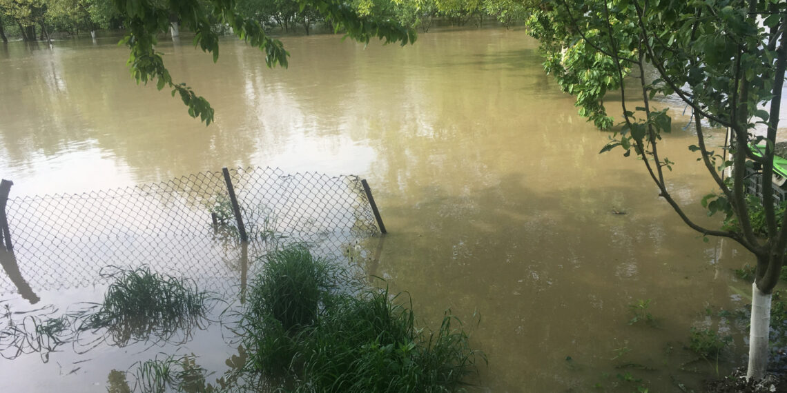 Cod portocaliu de inundații pe râurile Timiş şi Bega