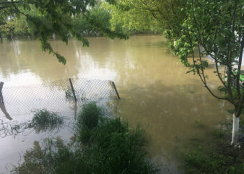 Cod portocaliu de inundații pe râurile Timiş şi Bega