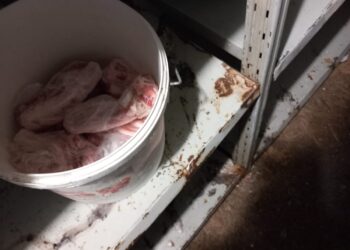 Amenzi aplicate de inspectorii ANPC operatorilor turistici din Caras Severin.Vezi cine sunt cei sancționați!