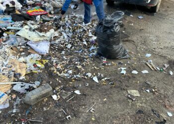 3 milioane lei, valoarea amenzilor pentru nerespectarea curățeniei în Timișoara anul acesta