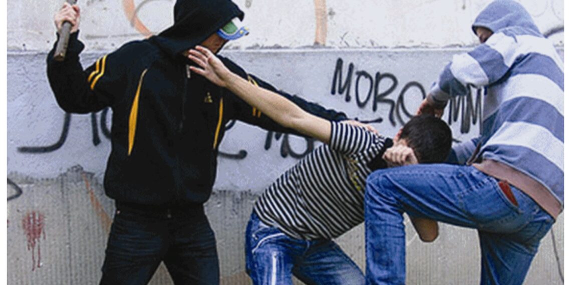 Plan pentru prevenirea și combaterea infracțiunilor, propus de ATOP Timiș