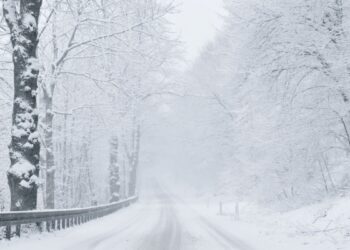 VIDEO Ninsori în judeţele Timiş, Arad şi Caraş-Severin. Drumarii au intervenit cu utilajele de deszăpezire de la primele ore ale dimineții