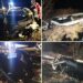 Accident pe A1. Spaniol de 28 de ani mort după un impact teribil
