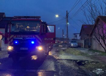 Un frigider defect a provocat un incendiu la o anexă din Săcălaz
