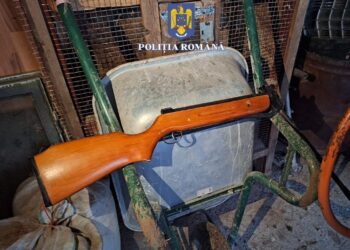 Percheziții la Șepreuș, oamenii legii au găsit țigări de contrabandă și o armă