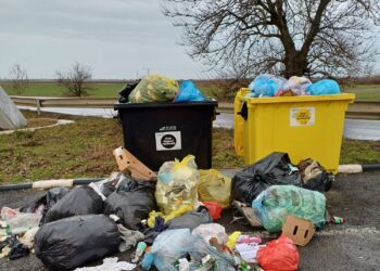 DRDP Timişoara trage un noul semnal de alarmă: Drumul nu este coș de gunoi!