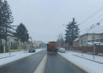 Prima ninsoare din 2024. Se intervine la intrările în oraș, pe poduri și în girațiile mari din Timișoara