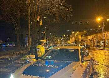 Se intervine pentru deszăpezirea drumurilor județene din Timiș