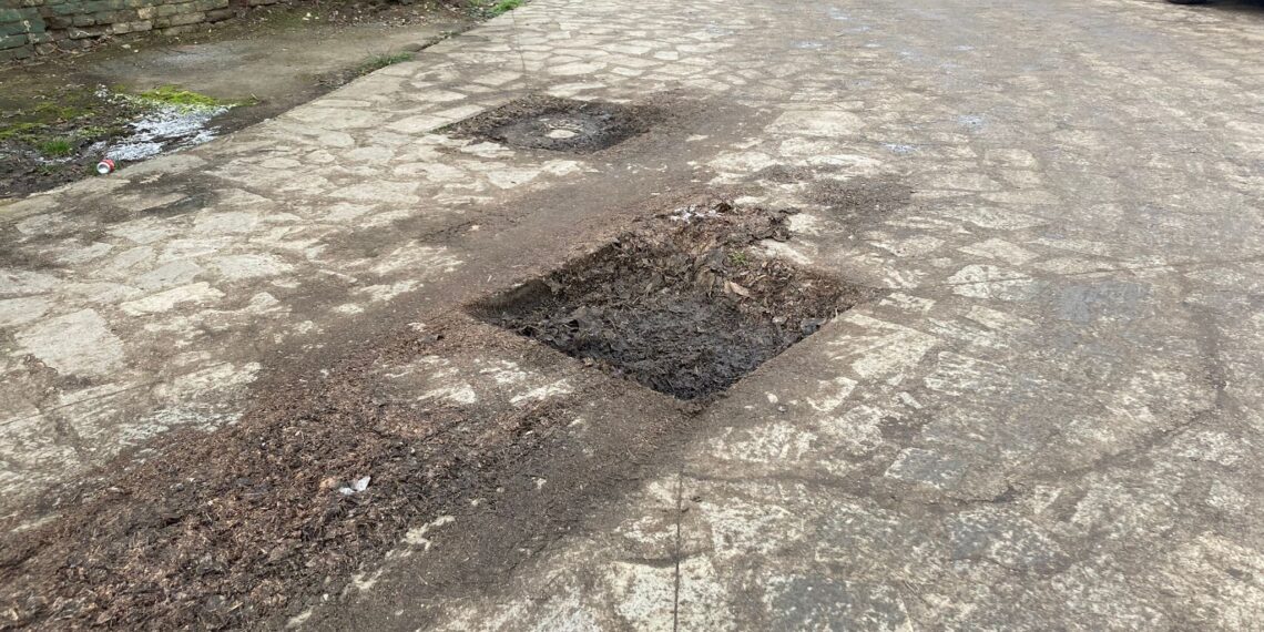 Noii reparații în Parcul Civic după ce firma care l-a modernizat nu și-a făcut bine treaba