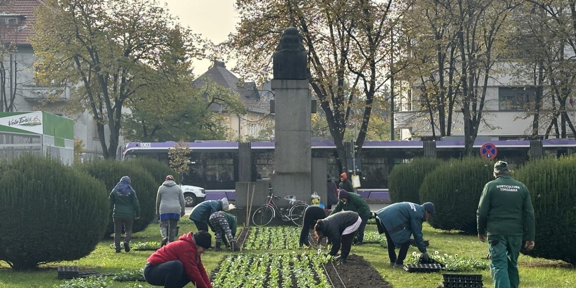 Peste 3.000 de arbori plantați în 2023 în Timișoara