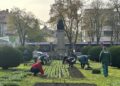 Peste 3.000 de arbori plantați în 2023 în Timișoara