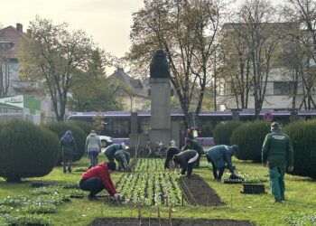 Peste 3.000 de arbori plantați în 2023 în Timișoara