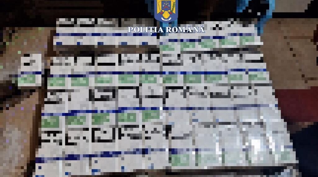 Percheziții la Șepreuș, oamenii legii au găsit țigări de contrabandă și o armă