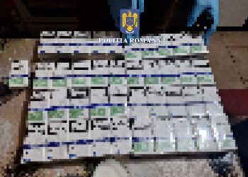 Percheziții la Șepreuș, oamenii legii au găsit țigări de contrabandă și o armă