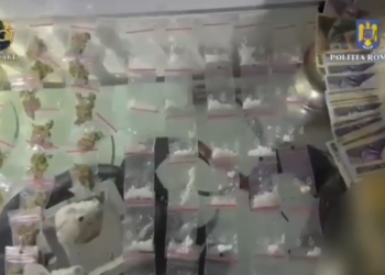 16 percheziții domiciliare pentru trafic de droguri de risc și de mare risc