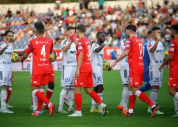 UTA Arad – FC Botoșani, duel tare! Măsuri de ordine și siguranță publică la meci