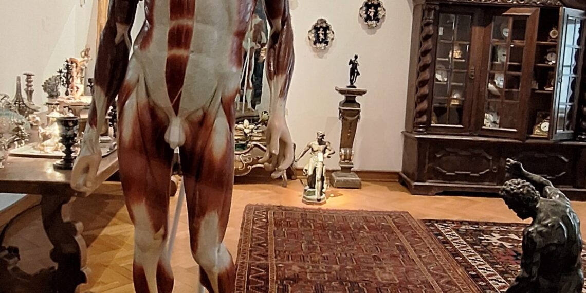 Opera lui Brâncuși care nu părăsește Muzeul de Artă din Timișoara până în 2025