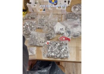 Percheziții în Oțelu Roșu la persoane cercetate pentru evaziune fiscală, contrabandă și contrafacerea unor mărfuri/Video