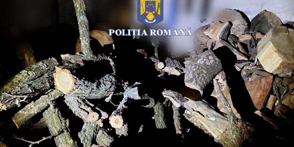 10 persoane, cercetate pentru tăiere și furt de arbori