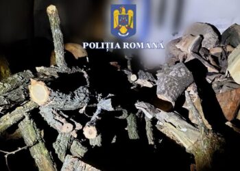 10 persoane, cercetate pentru tăiere și furt de arbori