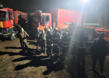 Zeci de hectare de pășune, distruse de un incendiu de vegetație