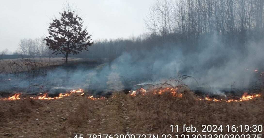 Weekend de foc pentru pompierii din Timiș. S-au luptat ore în șir cu incendiile de vegetație uscată