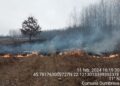 Weekend de foc pentru pompierii din Timiș. S-au luptat ore în șir cu incendiile de vegetație uscată