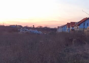 Primăria organizează întâlniri cu timișorenii pentru stoparea abandonului de deșeuri