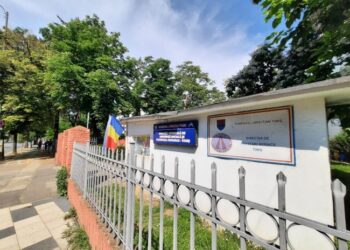 PSD: Directorul general al DGASPC Timiș trebuie schimbat