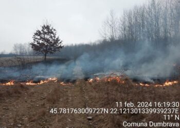Incendii de vegetație uscată în mai multe localități
