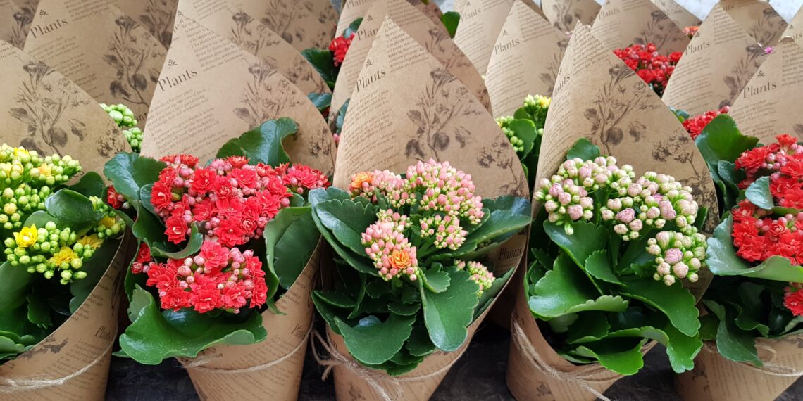 Încep înscrierile pentru cei care comercializează produse specifice zilei de 8 martie