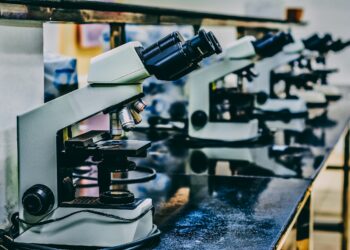 Încep lucrările pentru laboratoarele smart de la Colegiul Național Bănățean