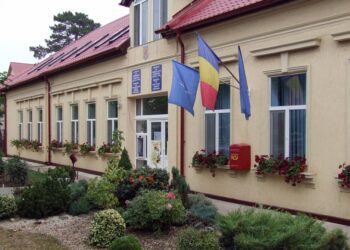 Cristian Rusu, un candidat susținut pentru Primăria Dumbrăvița