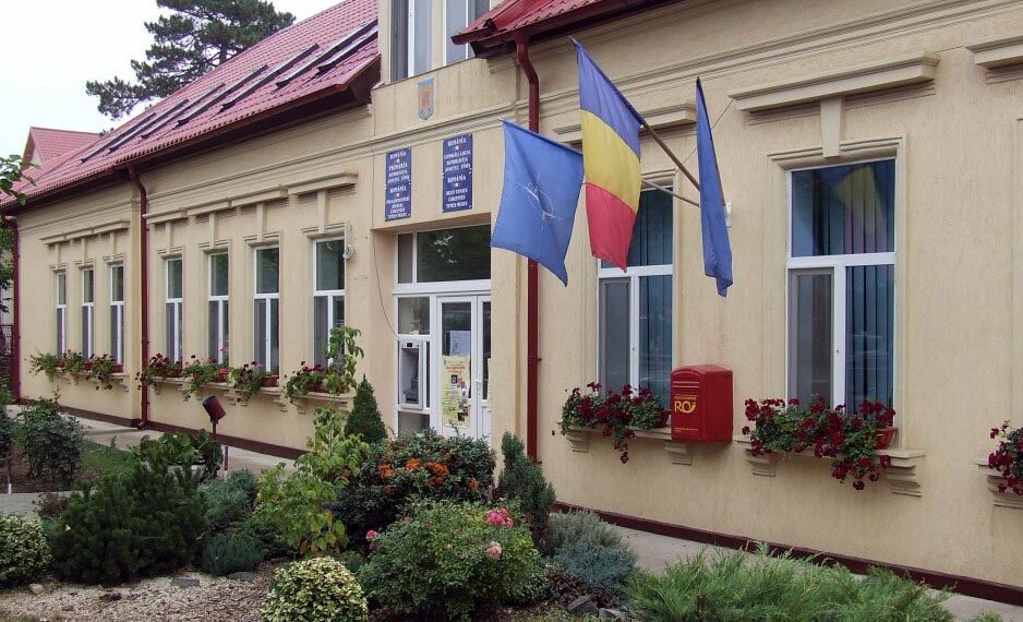 PNL Dumbrăvița acuză: bani publici în scopuri imobiliare