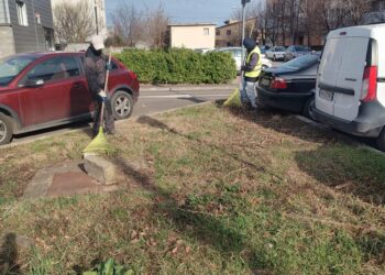 Se curăță spațiile verzi de deșeuri și resturi vegetale, la Timișoara