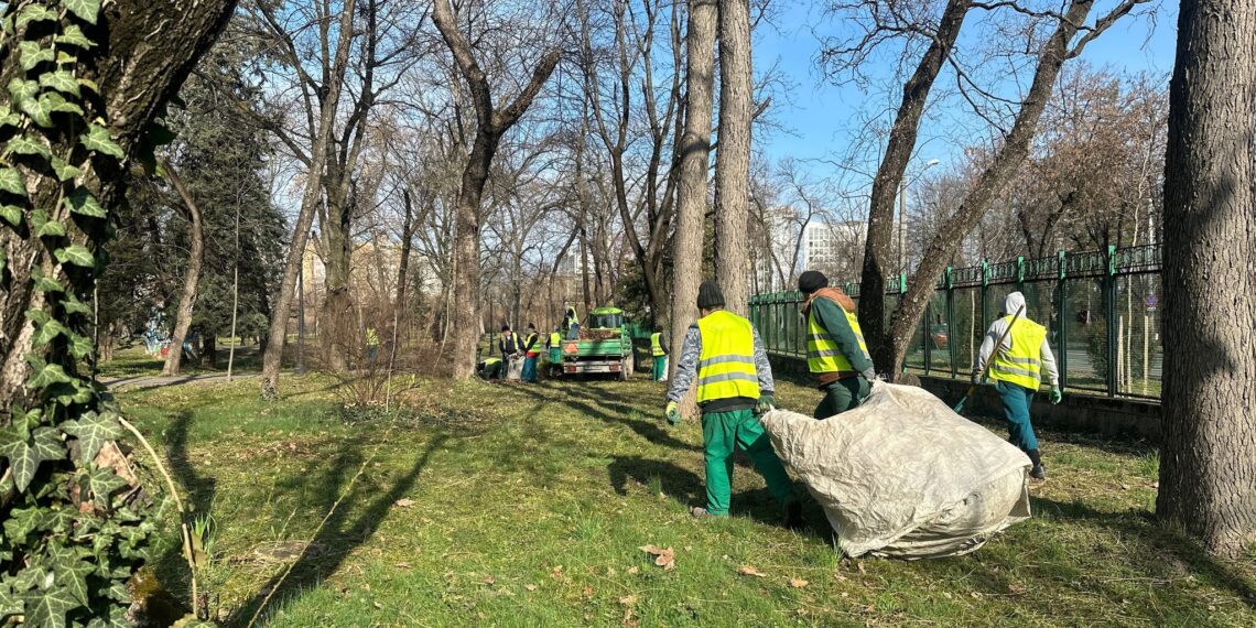 Angajații de la Horticultura au adunat peste 50 de tone de deșeuri de pe spațiile verzi