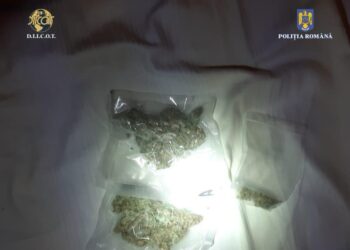 Doi inculpați, arestați pentru trafic de droguri de risc în formă continuată