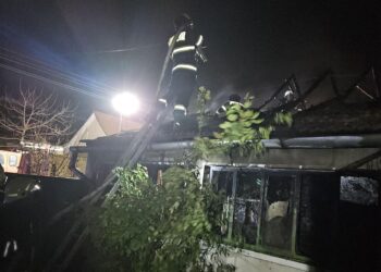 Incendiu la o casă din localitatea Șiria. O femeie de 93 ani a murit