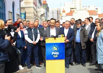 Nica despre candidatul PSD la CJT: „Înclin să cred că interesele personale au fost deasupra intereselor PNL”