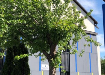 O nouă finanțare europeană pentru Aquatim. Compania este partener într-un proiect de cercetare  