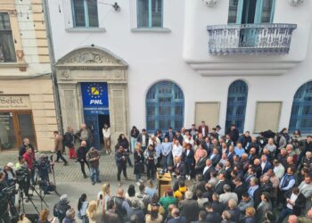 Nica le transmite șefilor săi din PNL că Timișul nu este de vânzare în schimbul unor tranzacții electorale