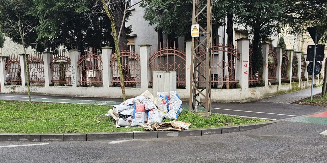 Amendă uriașă pentru aruncarea deșeurilor pe stradă, la Timișoara