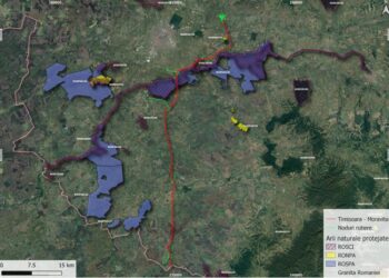 Agenţia pentru Protecţia Mediului Timiș a emis acordul pentru autostrada Timișoara-Moravița