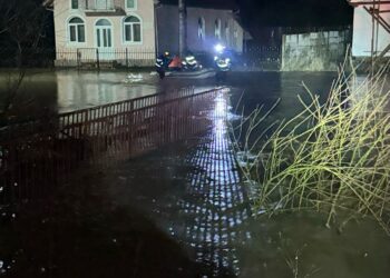 Mai multe gospodării au fost inundate în Ohaba Română