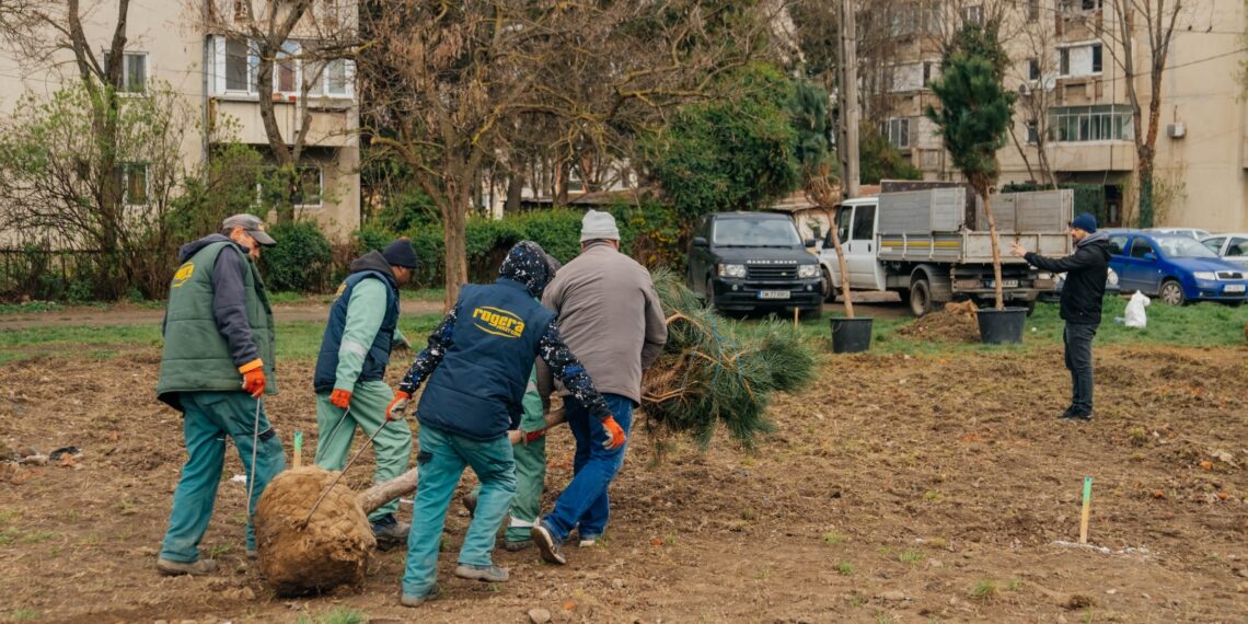 Primul parc nou în Timișoara, după 15 ani