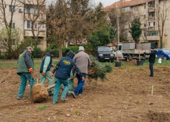 Primul parc nou în Timișoara, după 15 ani